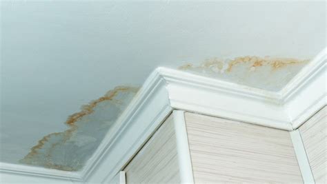 Brown Stain on Ceiling but No Leak: Causes and DIY Fixes